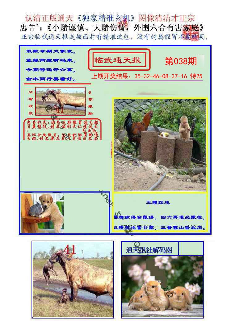 2025038期临武通天报