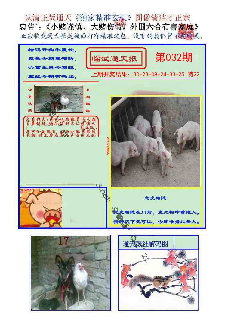2025032期临武通天报