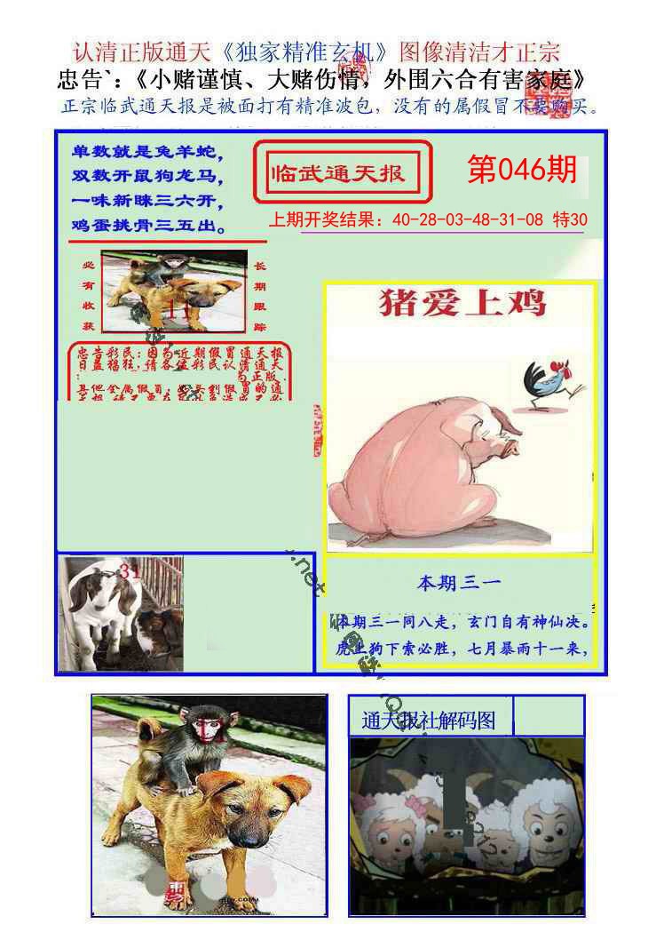 2025046期临武通天报