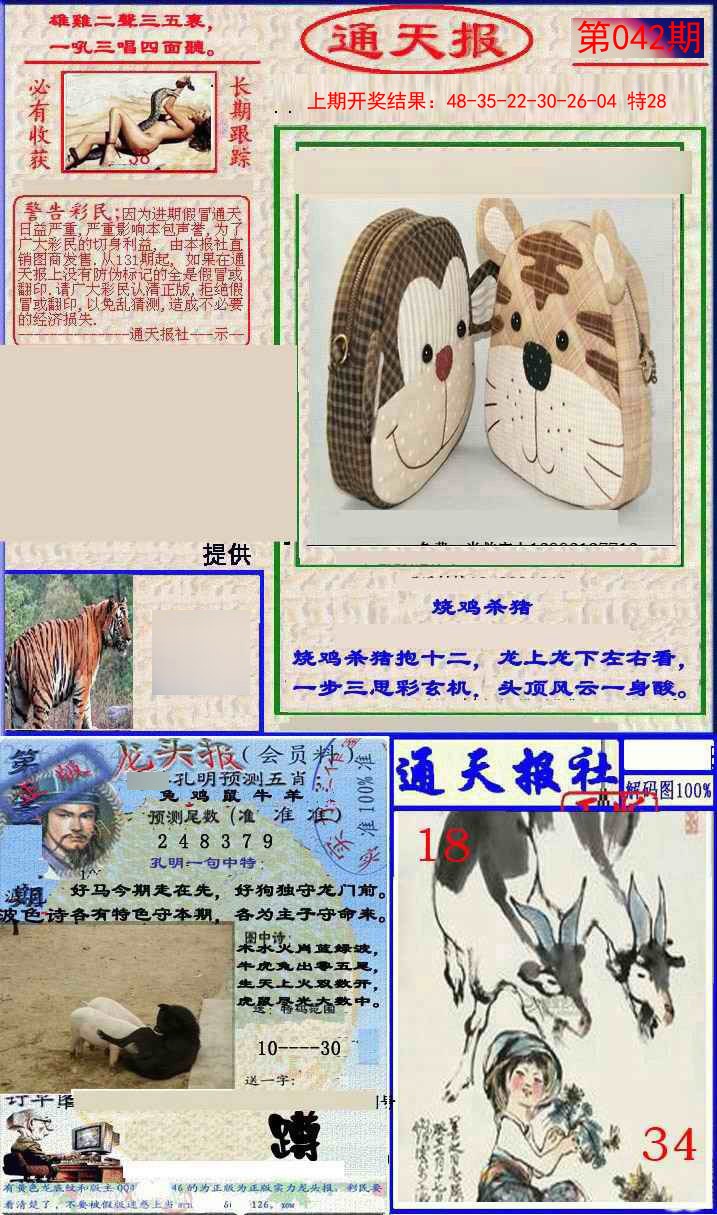 2025042期实力通天报