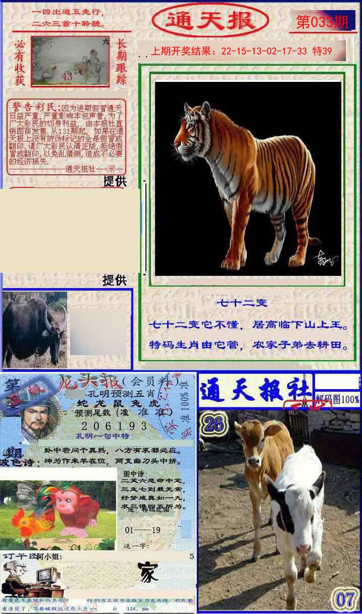 2025033期实力通天报
