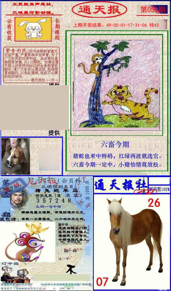 2025050期实力通天报