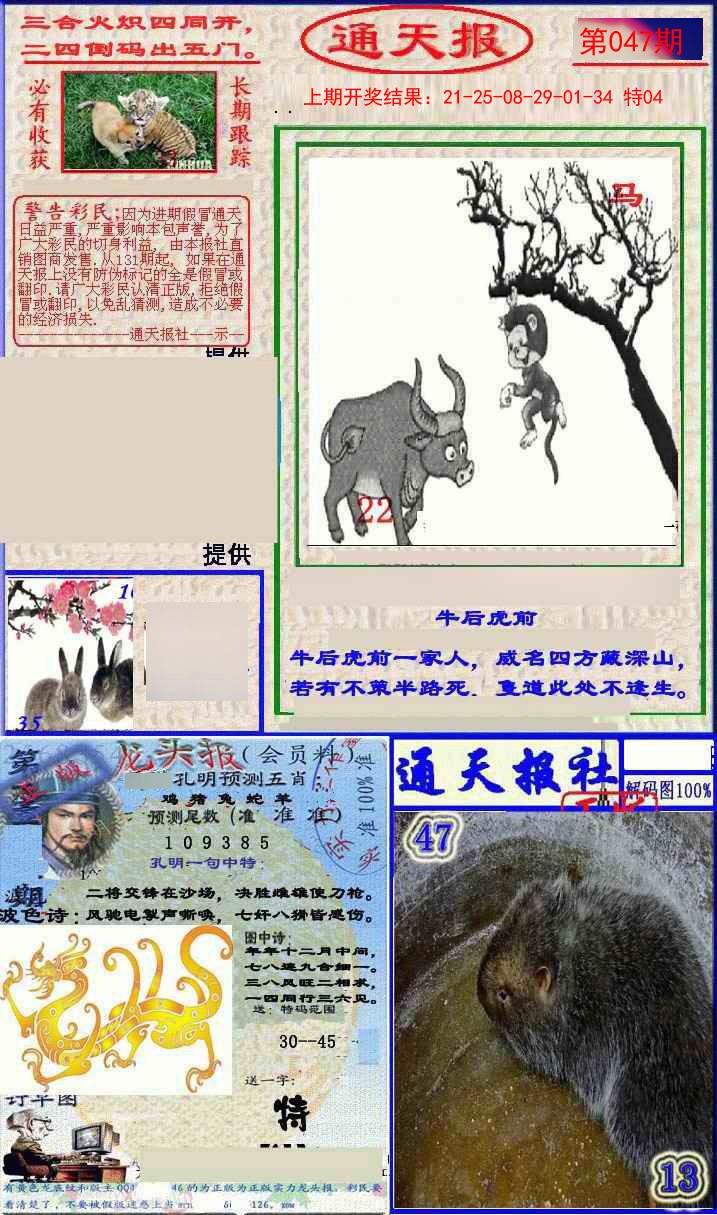 2025047期实力通天报