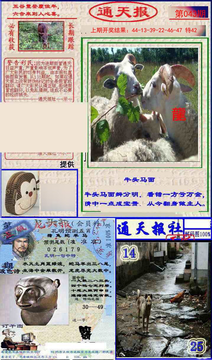 2025043期实力通天报
