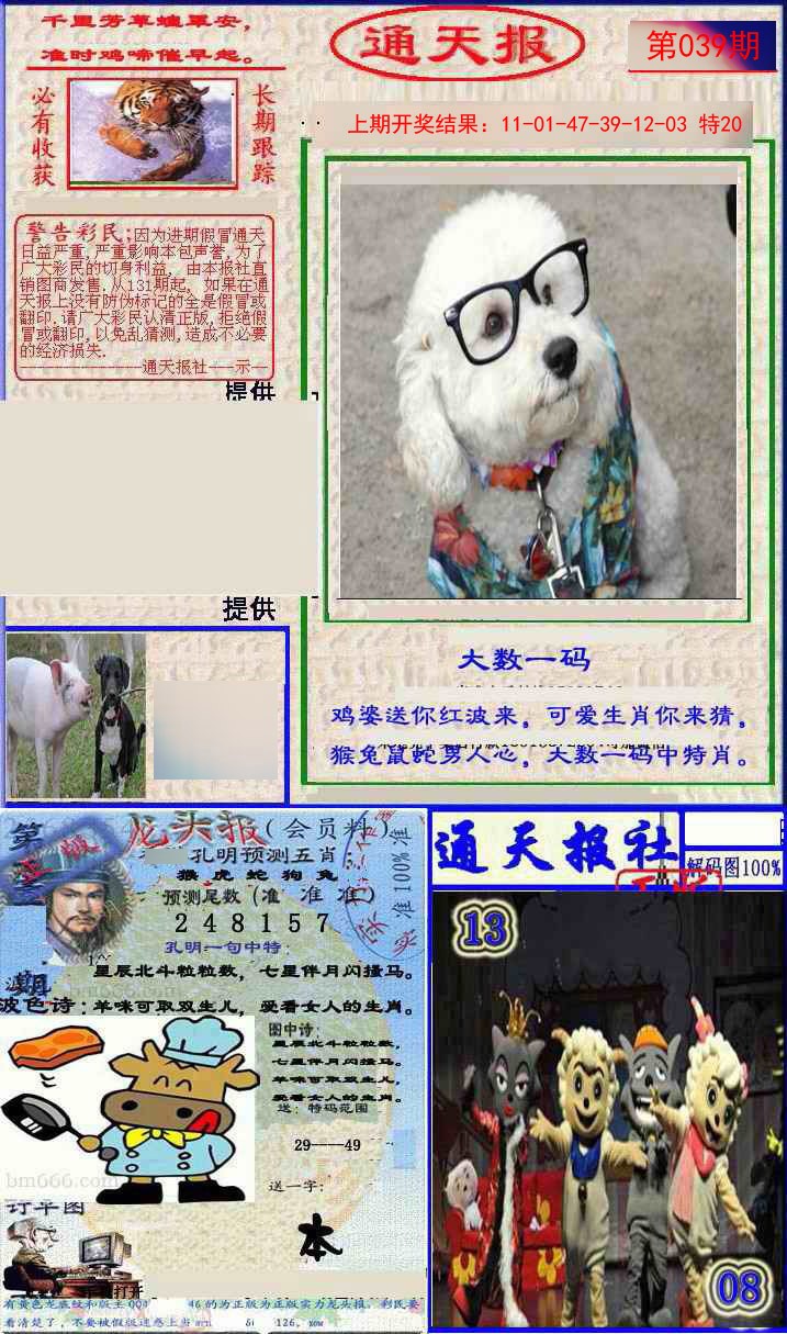2025039期实力通天报