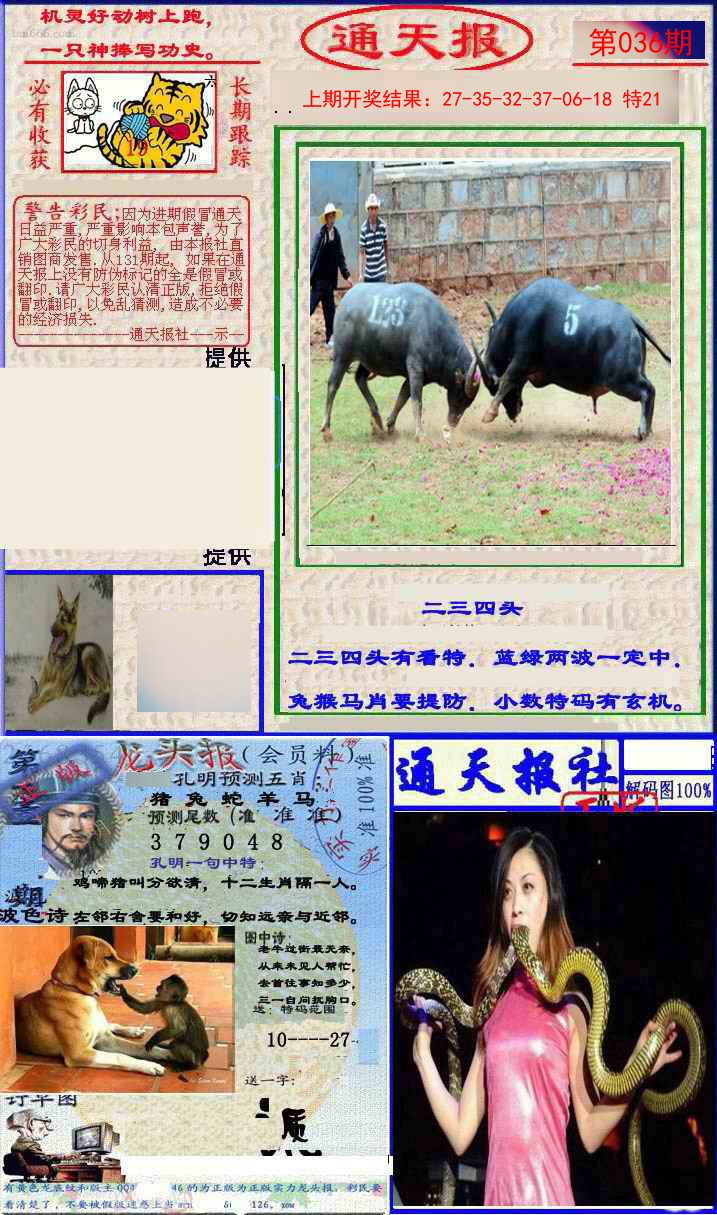 2025036期实力通天报