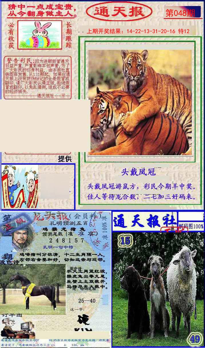 2025048期实力通天报