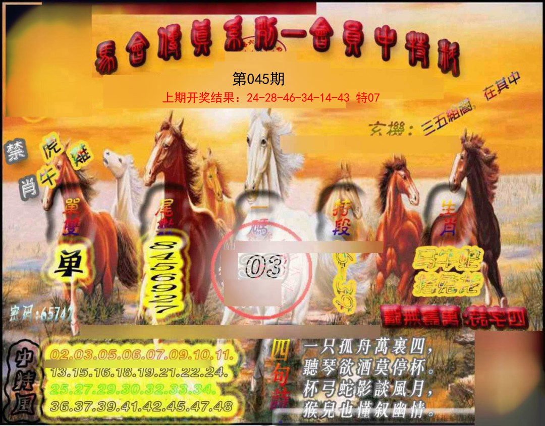 2025045期马会传真-会员报