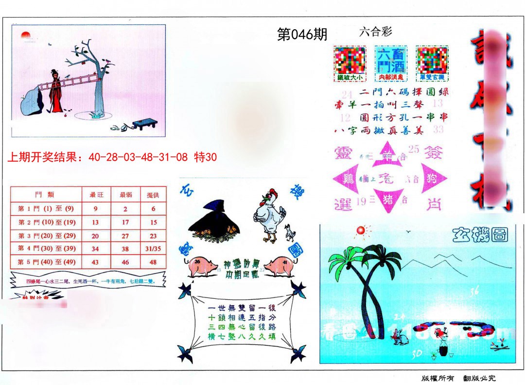 2025046期识破玄机
