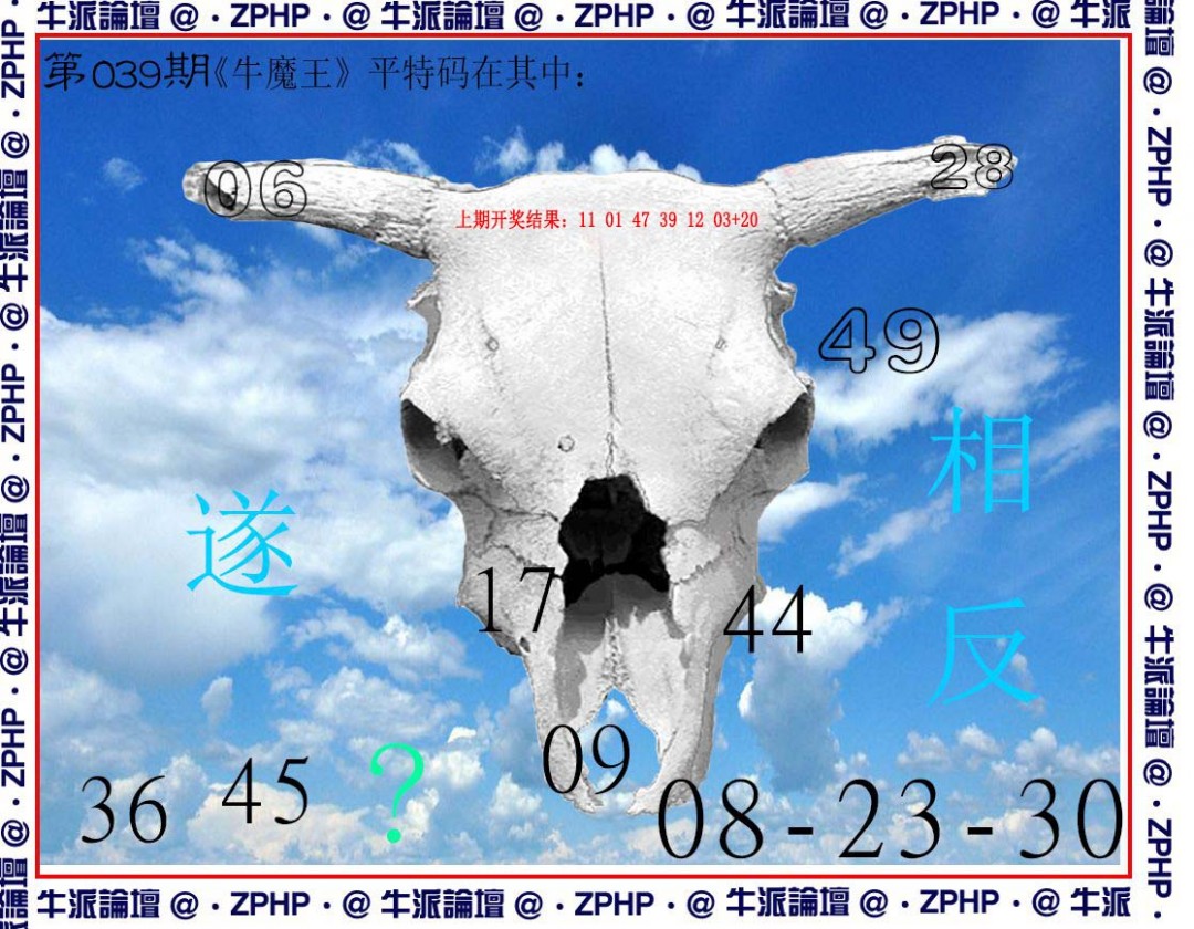 2025039期牛派系列8