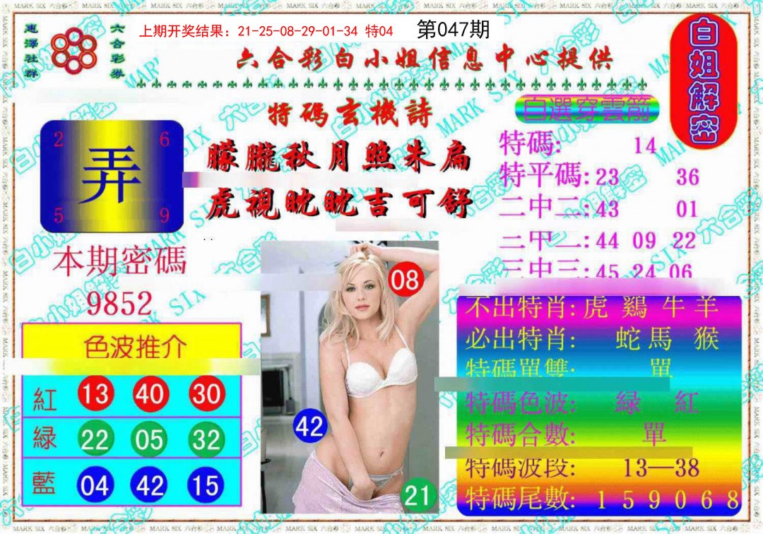 2025047期白姐解密《另版》