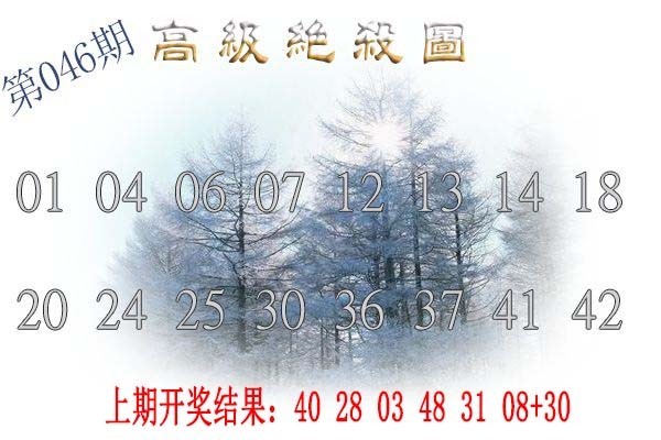 2025046期高级内部绝杀