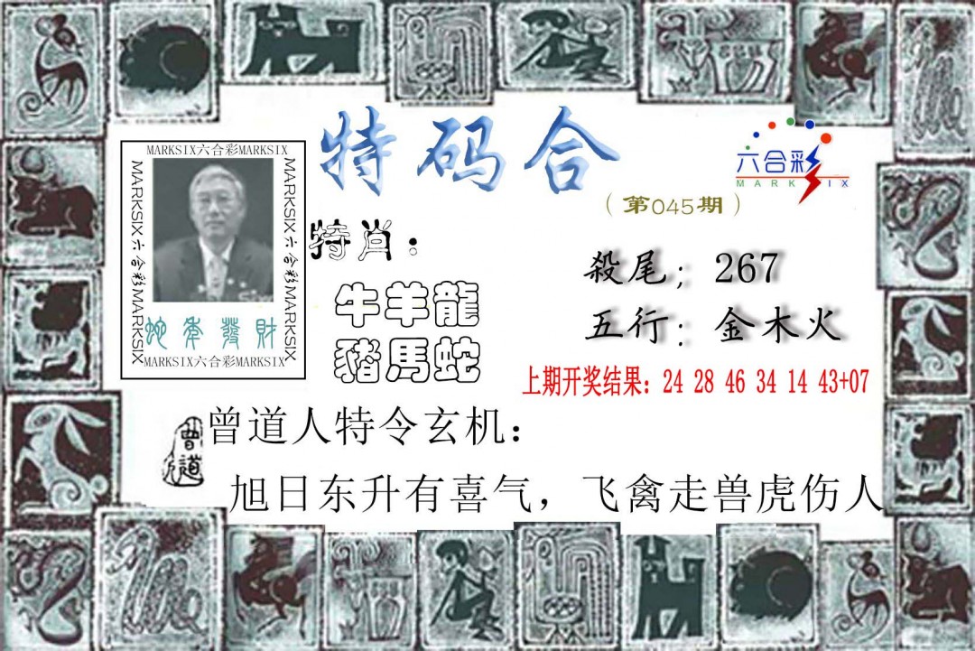 2025045期特准特码令
