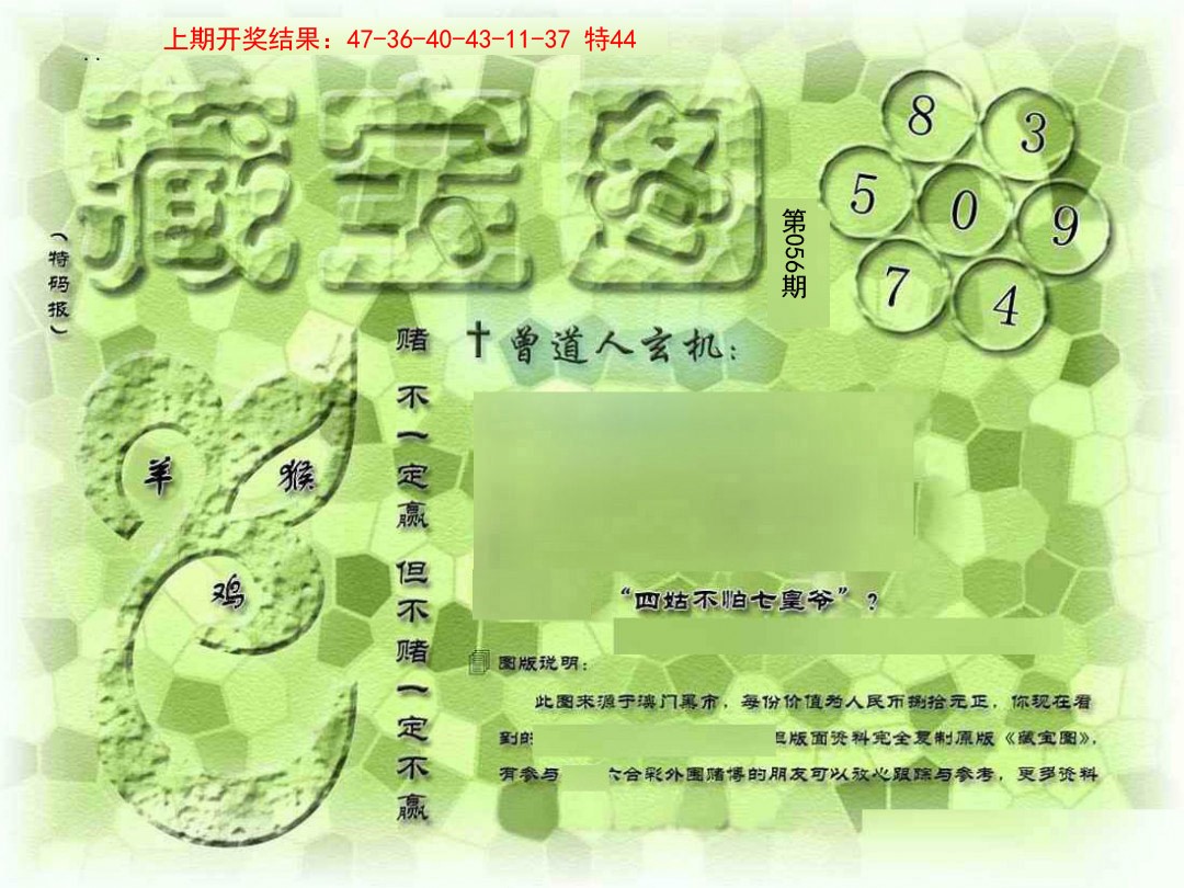 2025056期假新藏宝图