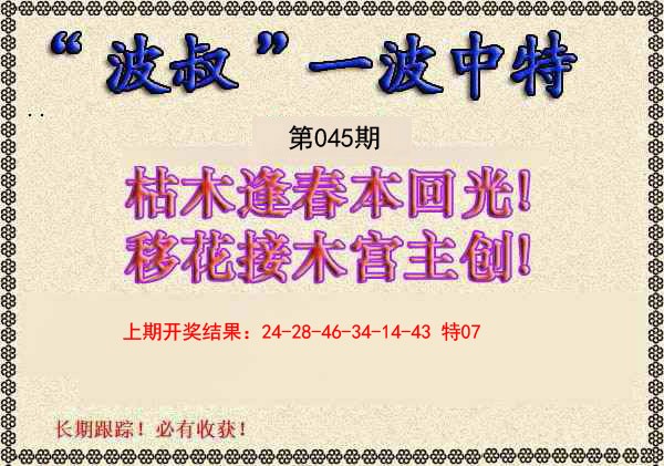 2025045期波叔一波中特