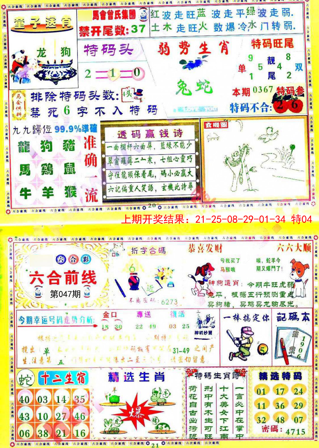 2025047期六合前线