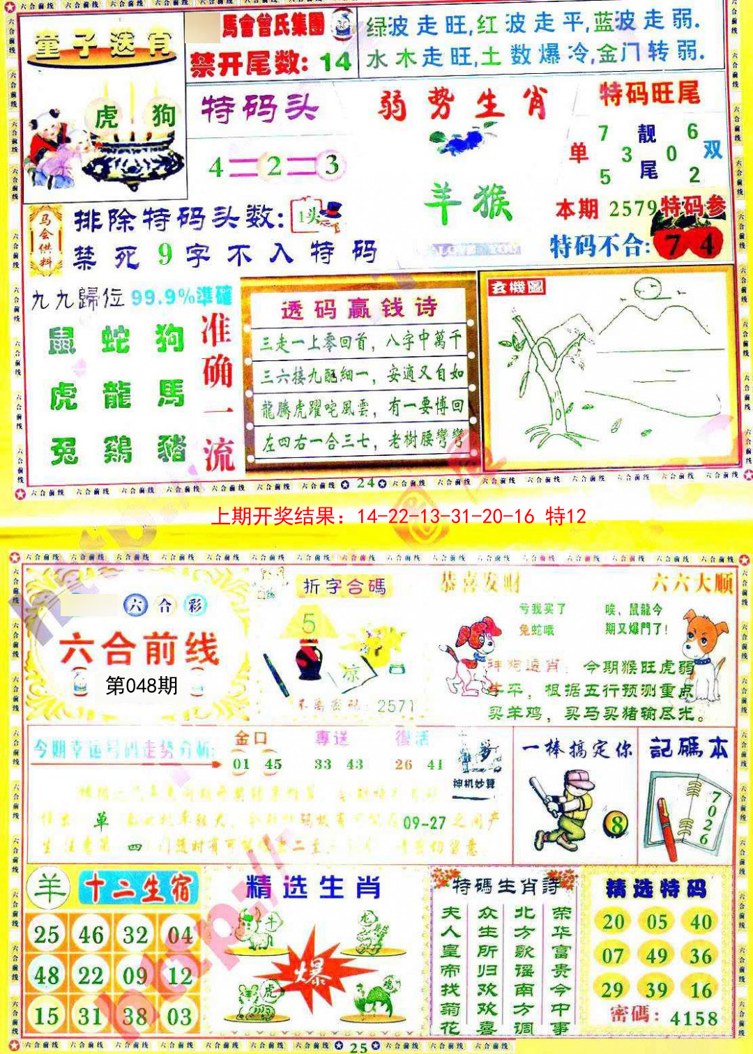 2025048期六合前线