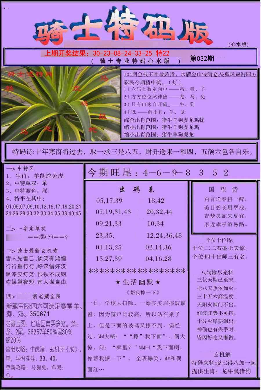 2025032期骑士特码版