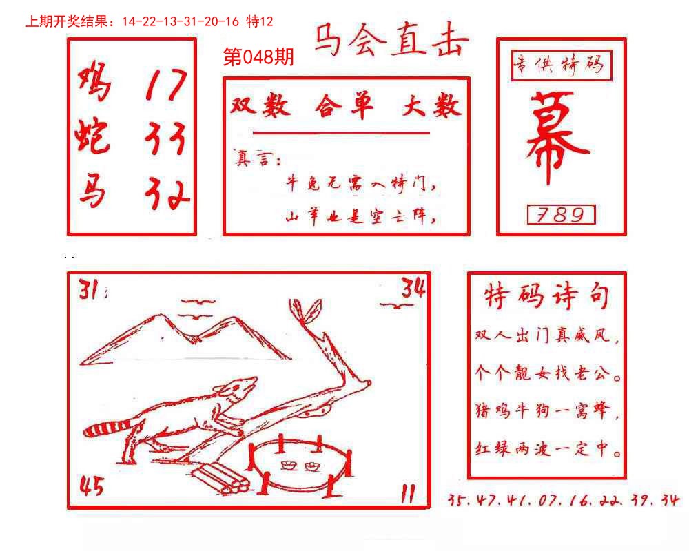 2025048期马会直击