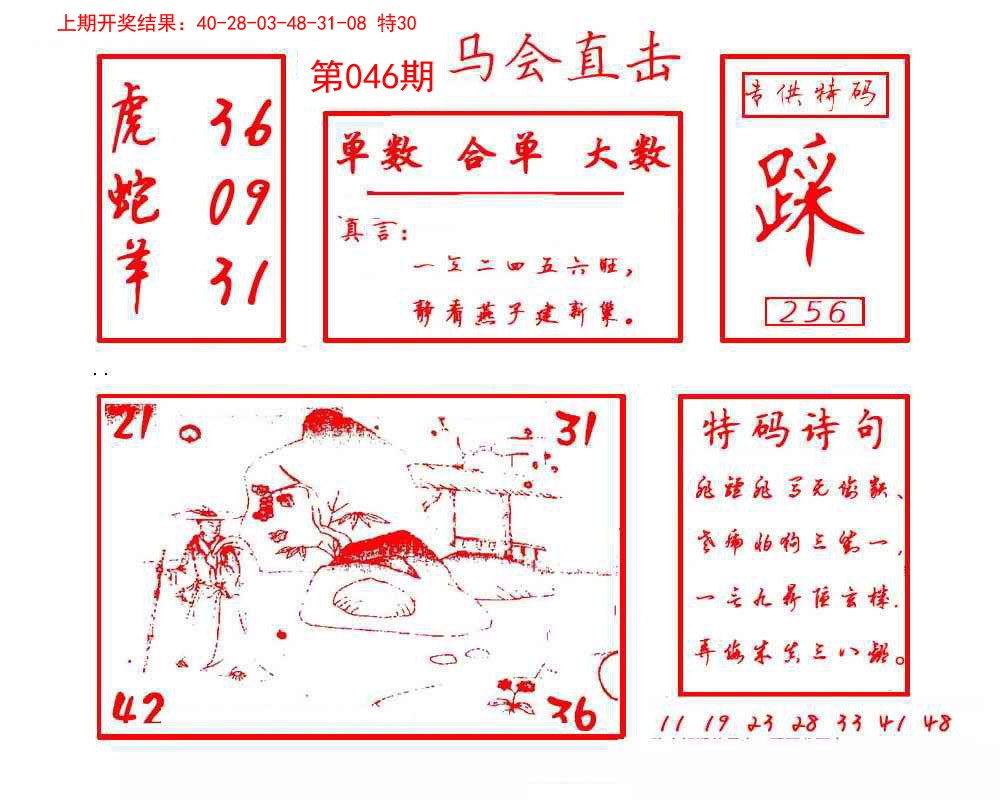 2025046期马会直击