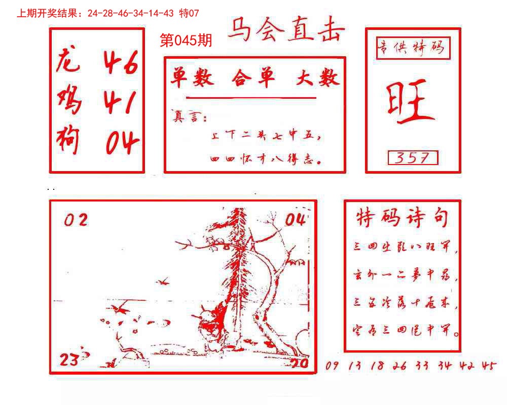 2025045期马会直击