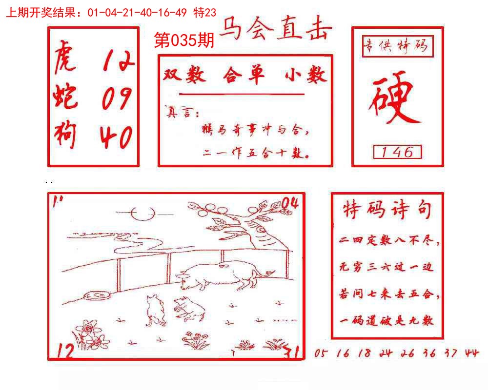 2025035期马会直击