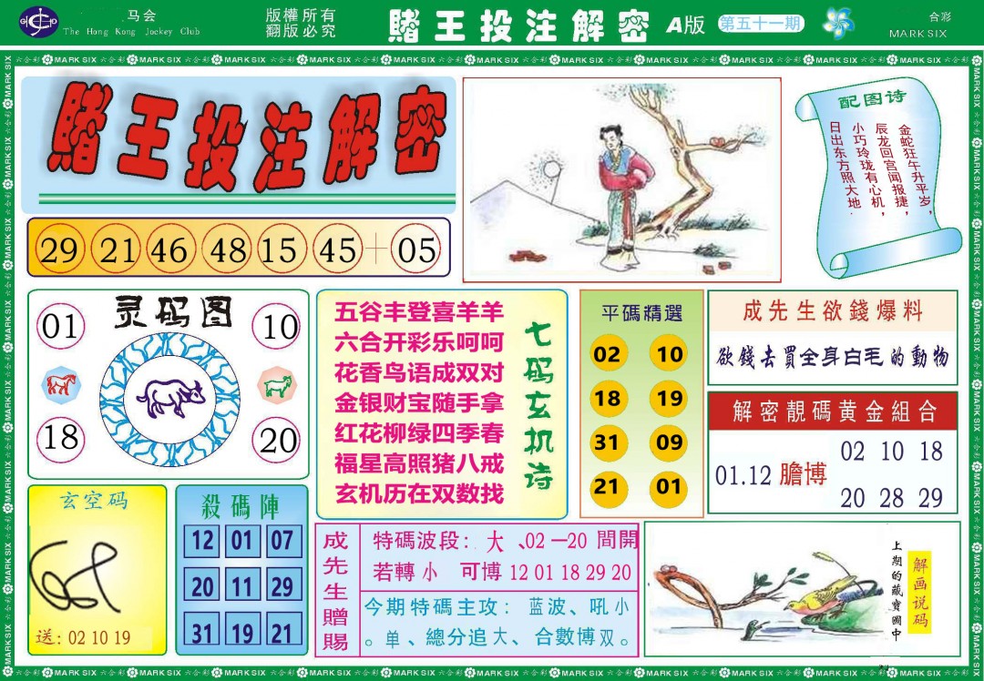 2025051期赌王投注解密