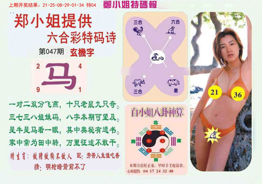 2025047期郑小姐特码报B