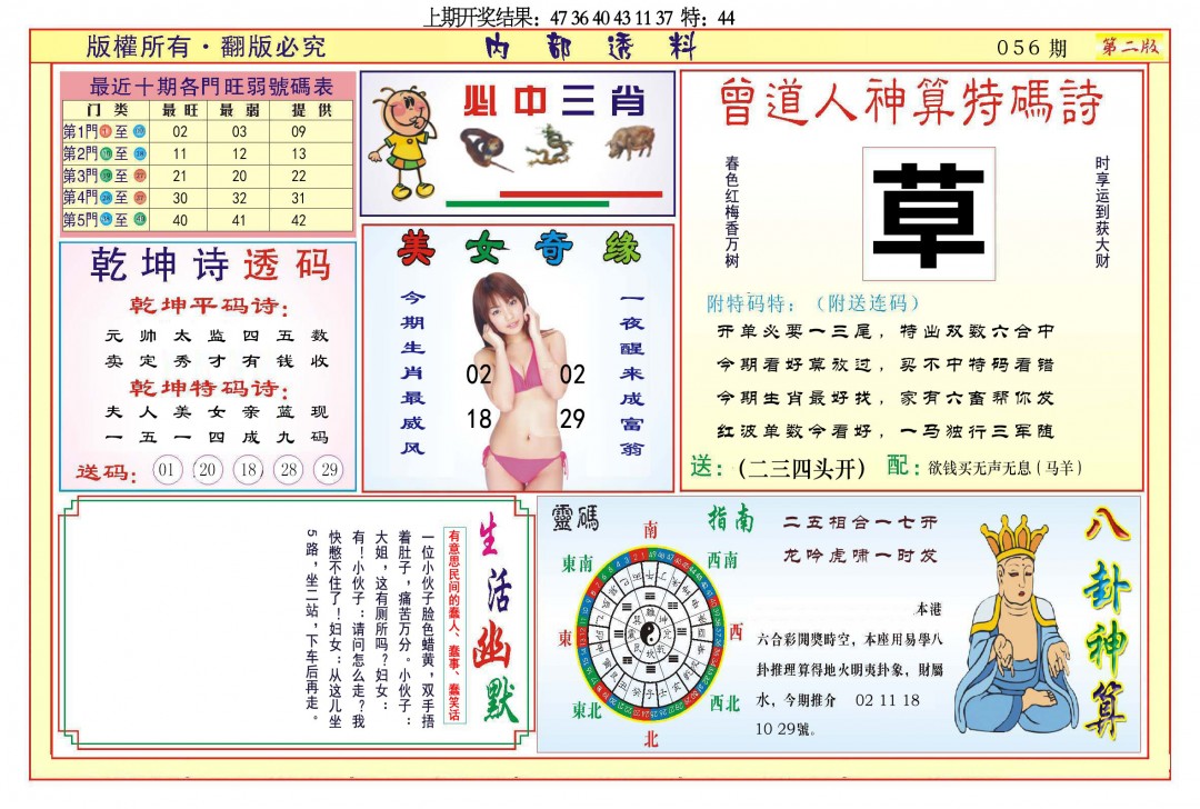 2025056期内部透料B