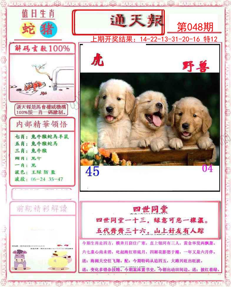 2025048期小喜通天报