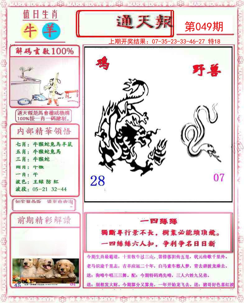 2025049期小喜通天报
