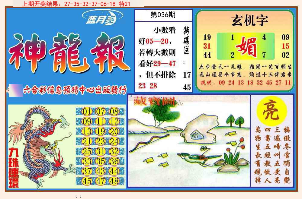 2025036期神龙报