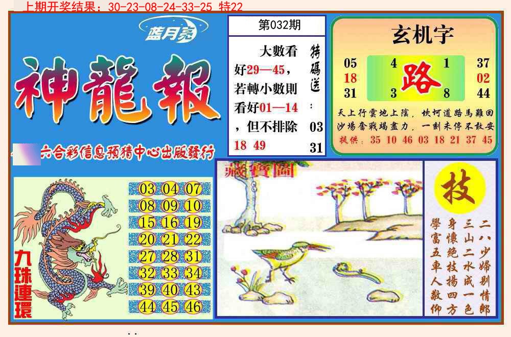 2025032期神龙报
