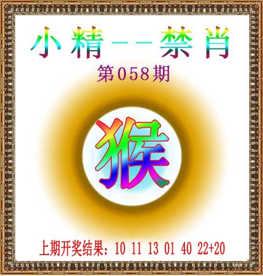 2025058期小精禁肖