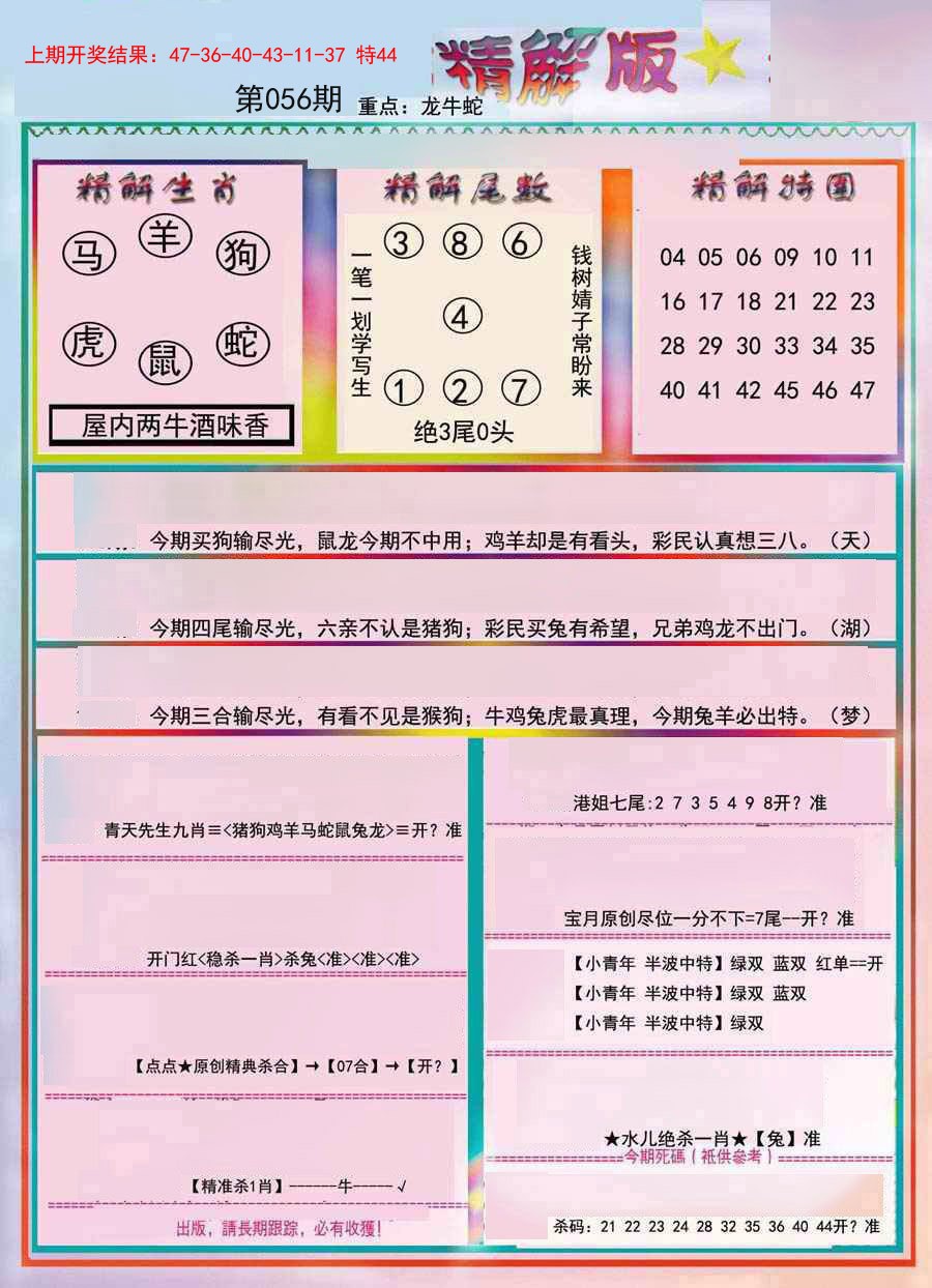 2025056期精解版