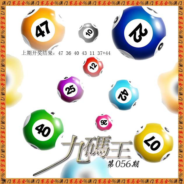 2025056期九码王