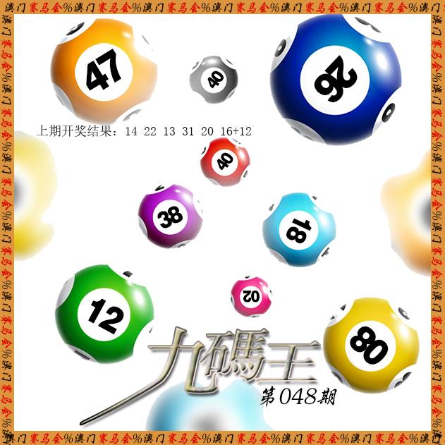 2025048期九码王