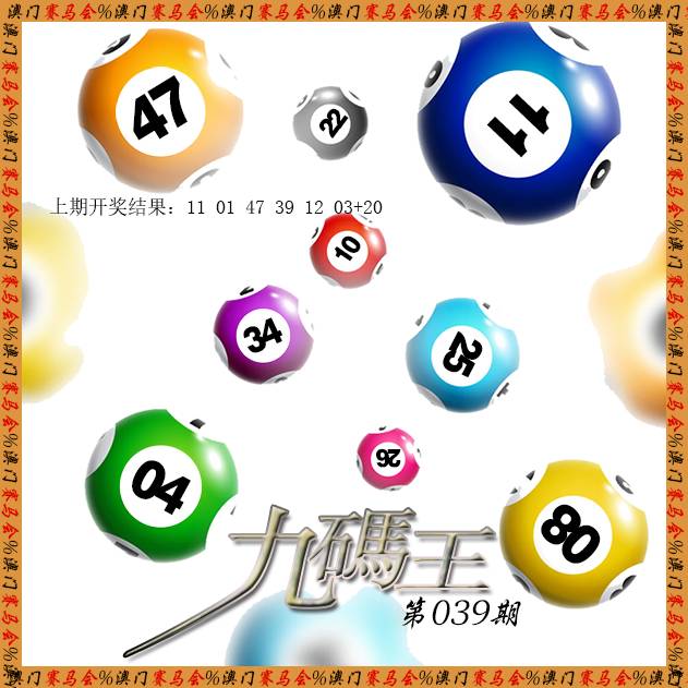 2025039期九码王