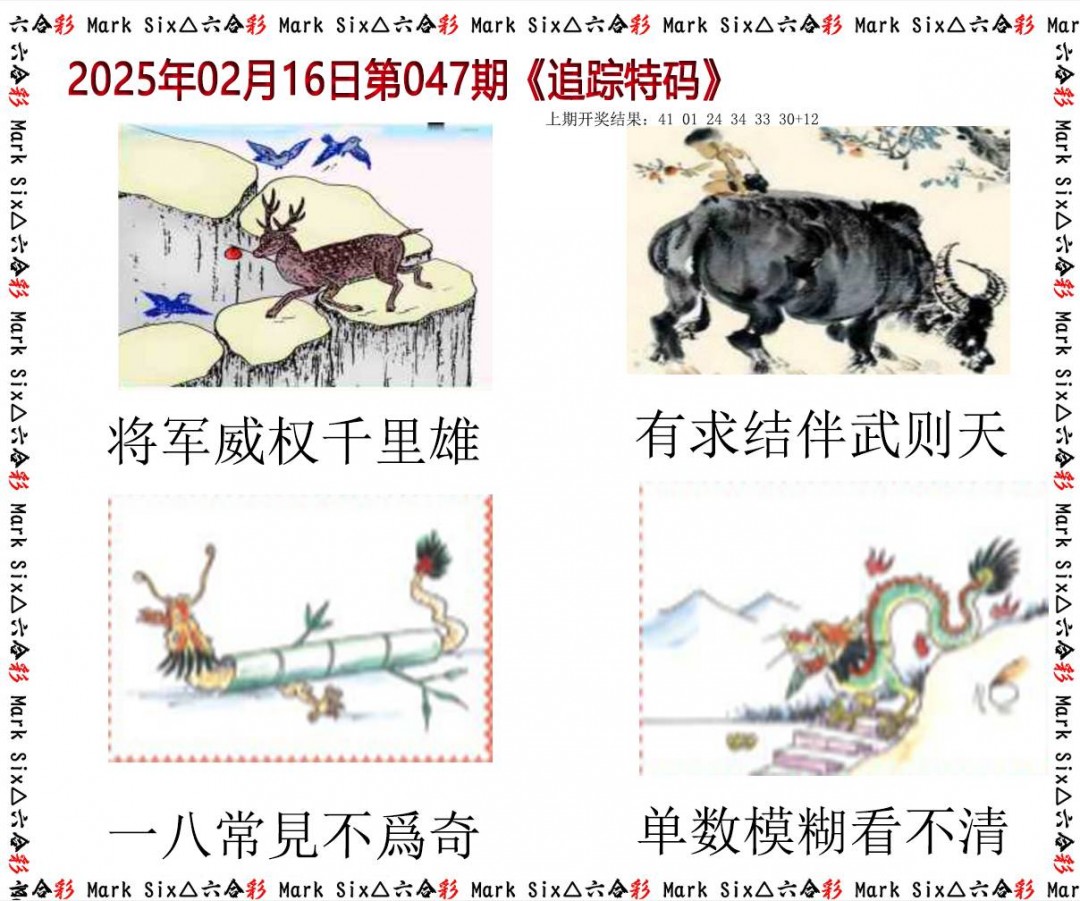 2025047期追踪特码