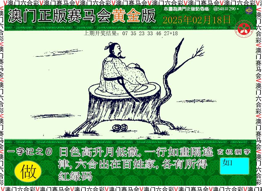 2025049期赛马会黄金版
