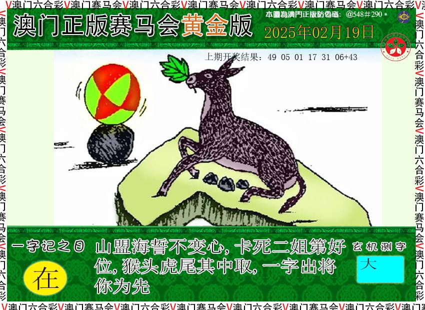 2025050期赛马会黄金版