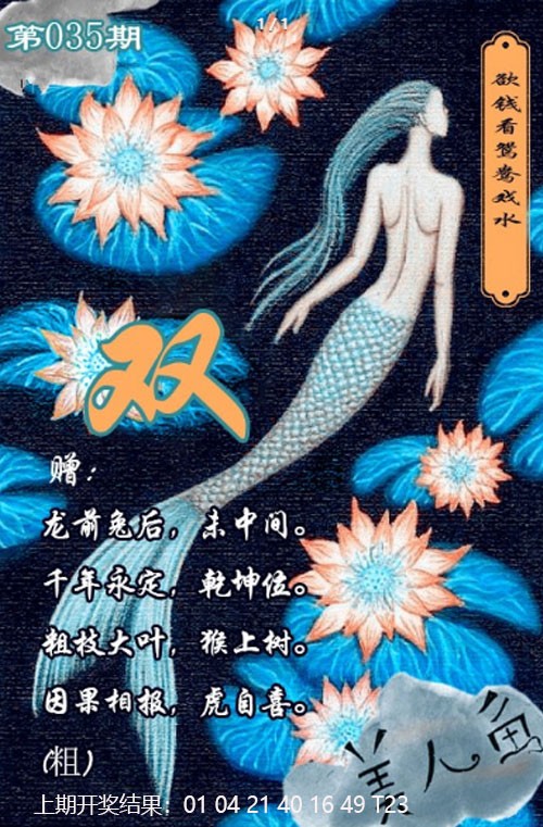 2025035期美人鱼单双中特图
