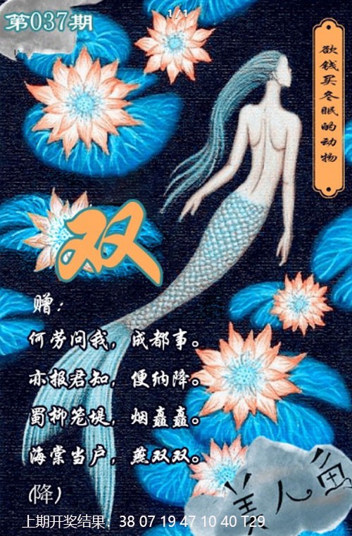 2025037期美人鱼单双中特图