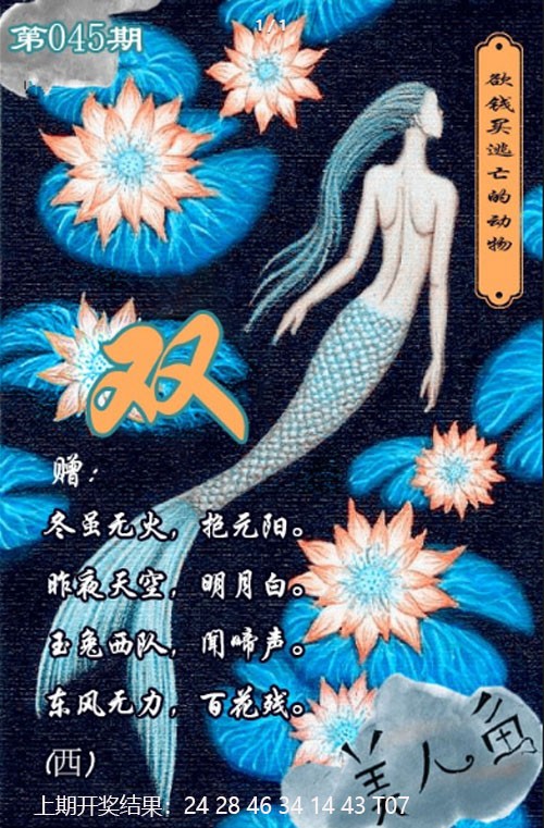 2025045期美人鱼单双中特图