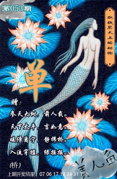 2025053期美人鱼单双中特图