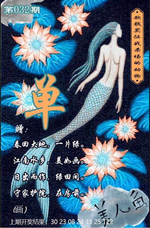 2025032期美人鱼单双中特图