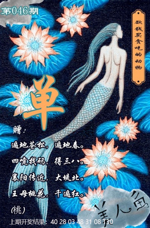2025046期美人鱼单双中特图