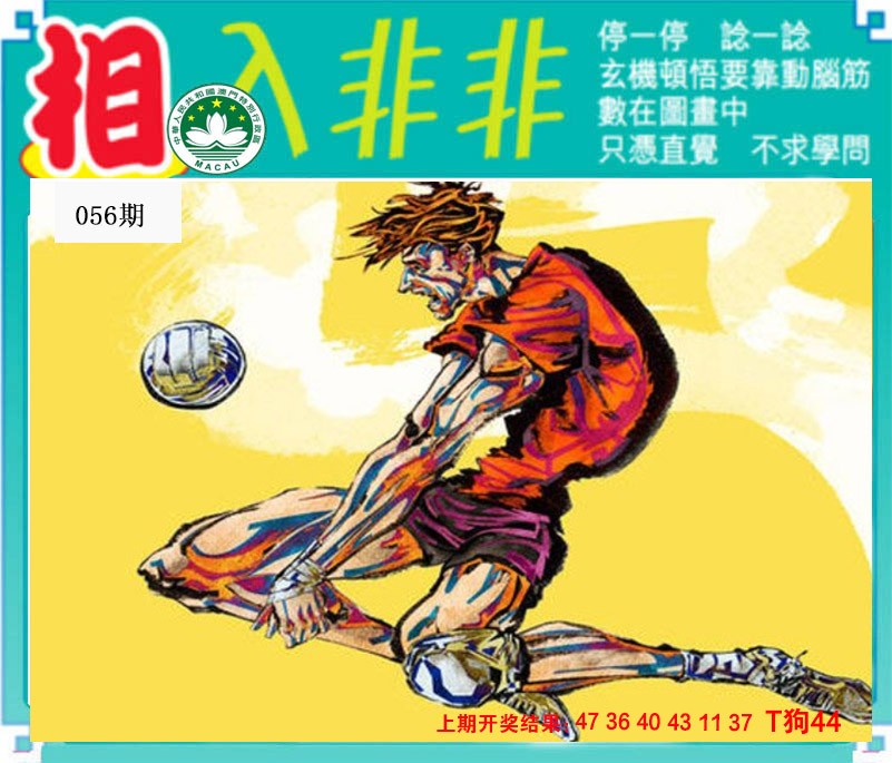 2025056期相入非非