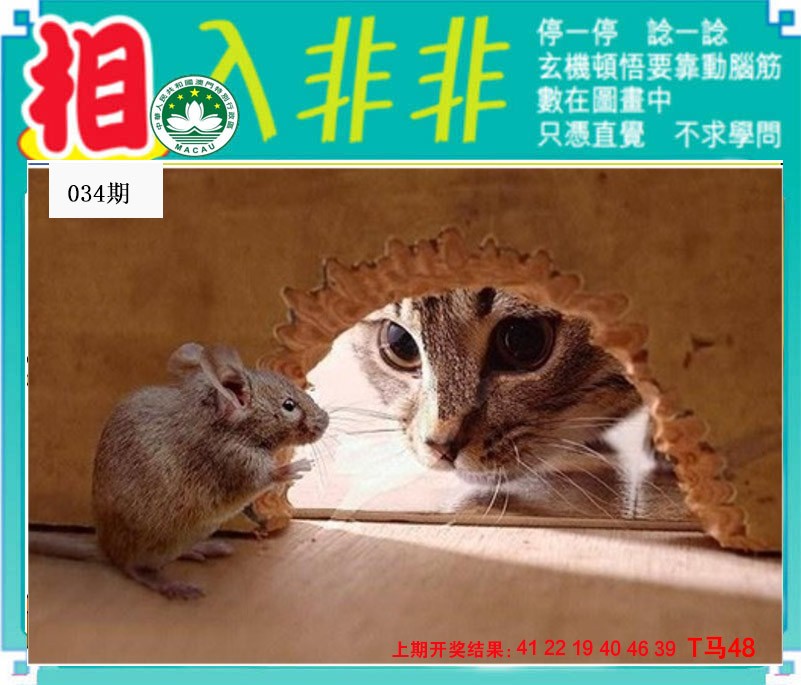 2025034期相入非非