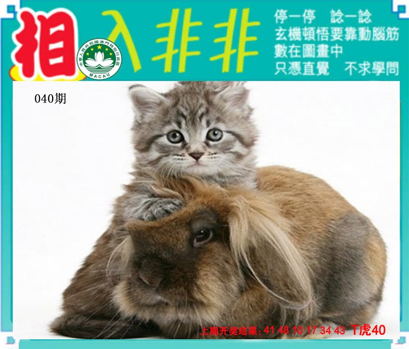 2025040期相入非非